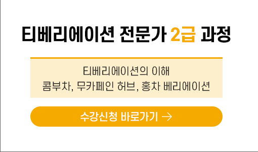 티베리에이션 전문가 2급